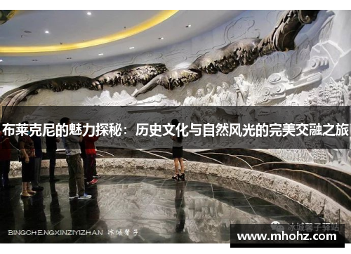 布莱克尼的魅力探秘：历史文化与自然风光的完美交融之旅